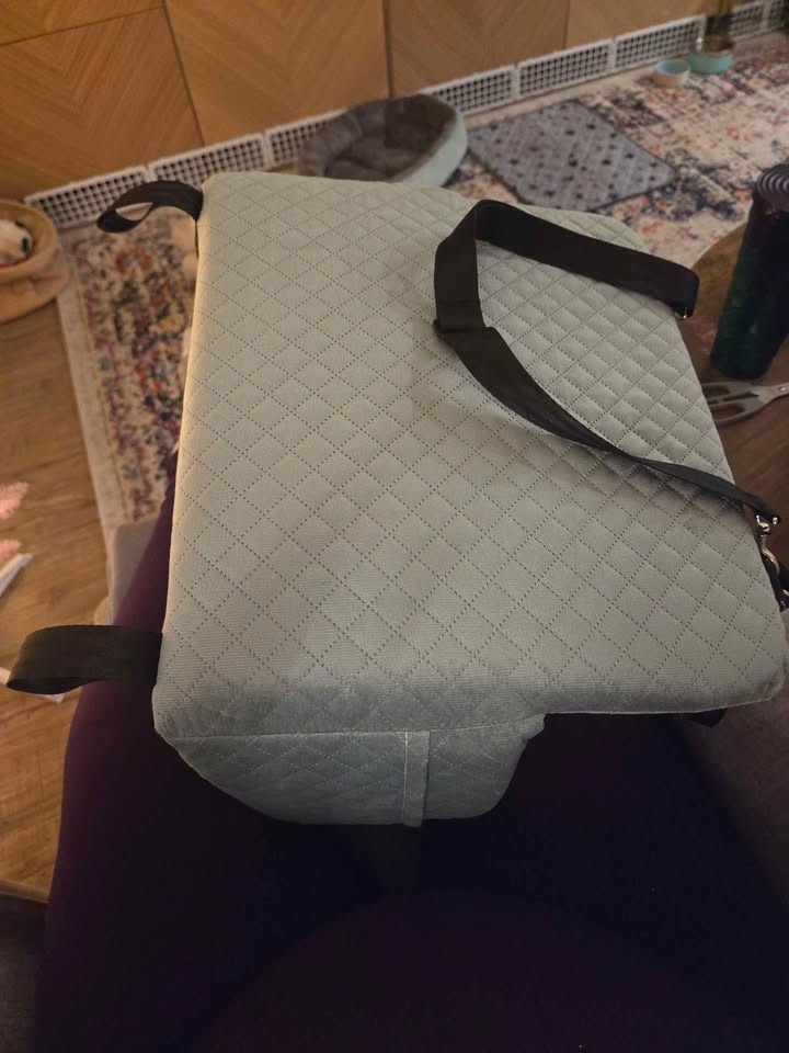 Pet Car Seat - photo 2
