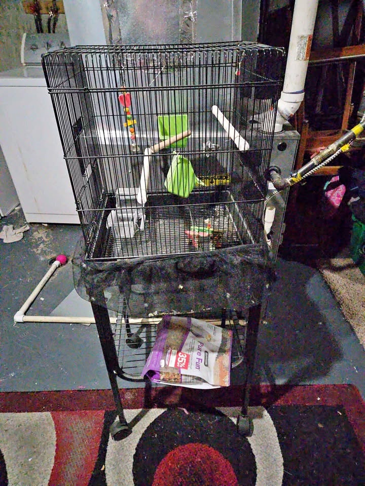 NEW Bird cage