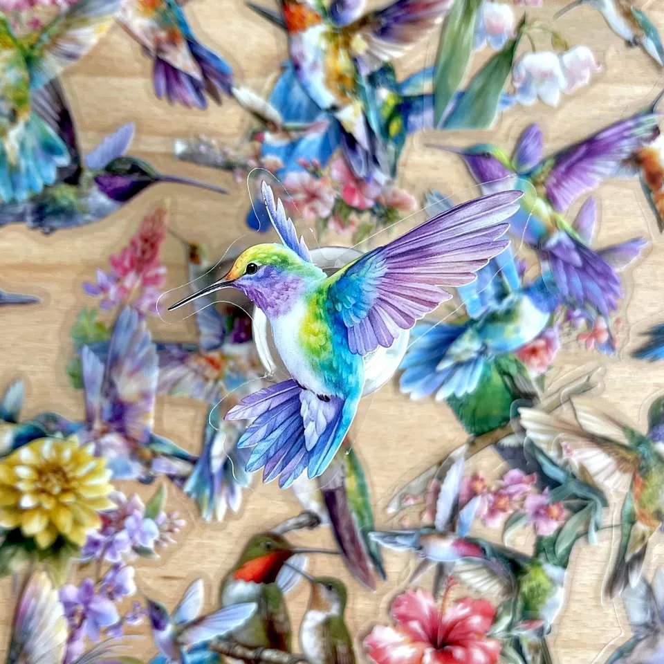 Pack of 50 Hummingbirds Transparent Stickers thumbnail