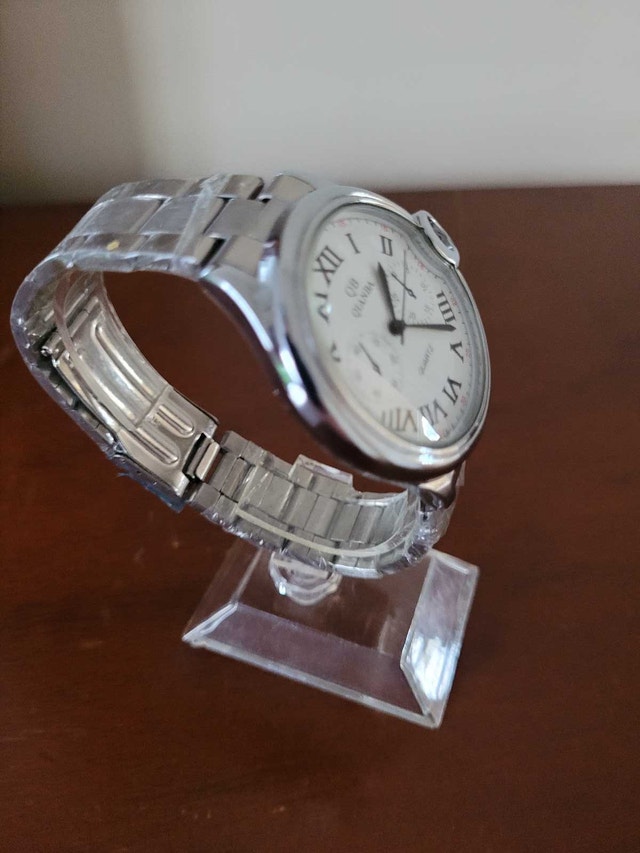Brand New Silver Qianba Quartz Men's Watch - photo 3