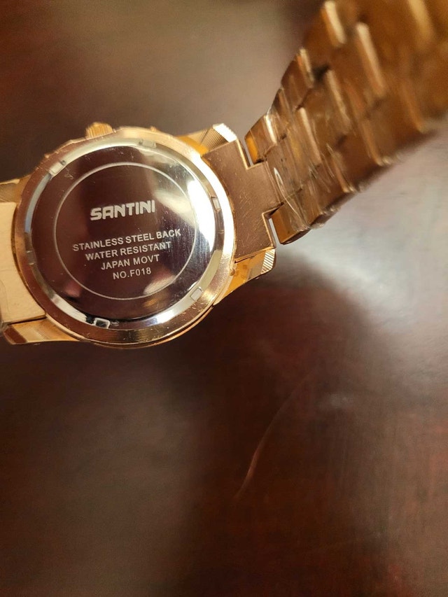Brand New Unisex Santini Rose Gold Watch - photo 5