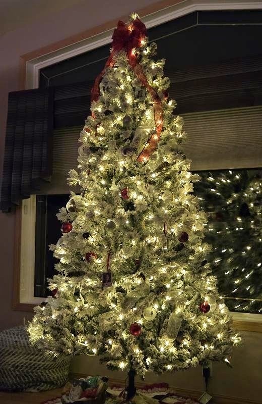 7.5ft. Flocked Pine Pre-Lit Christmas Tree