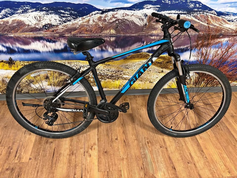 GIANT ATX Mountain Bike