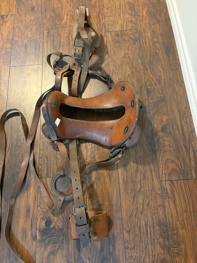 1917 military Calvary horse saddle - photo 3