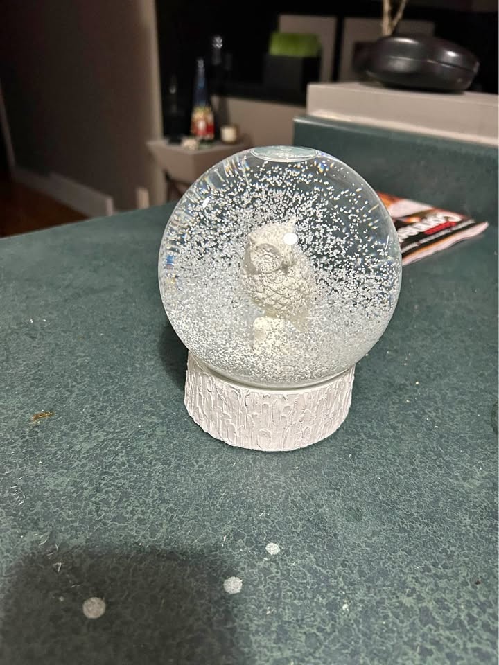 Owl Snow Globe