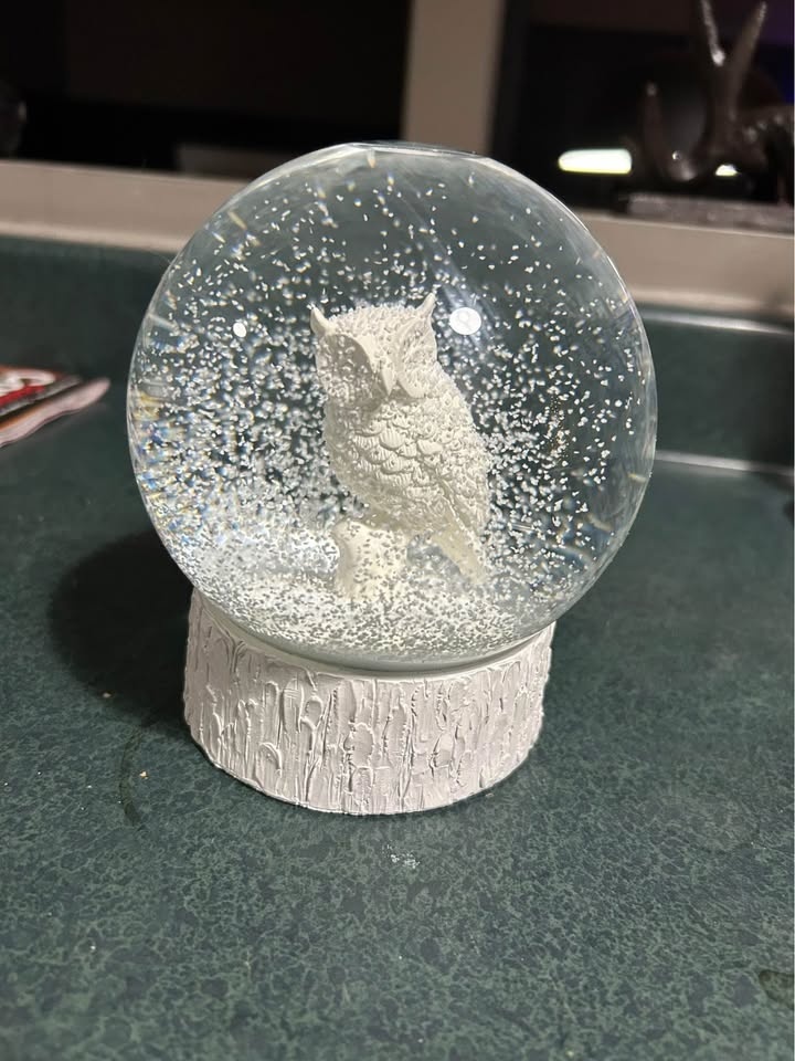 Owl Snow Globe - photo 2