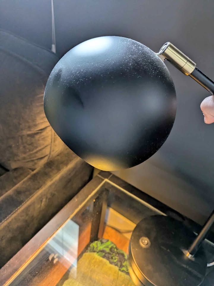 Black Table Lamp