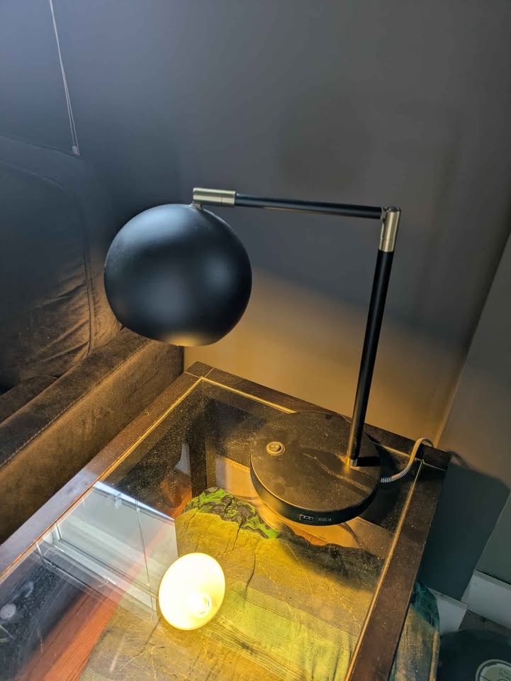 Black Table Lamp - photo 2