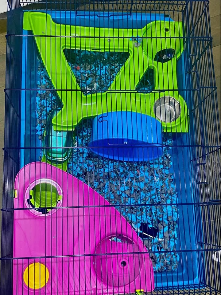 Hamster cage