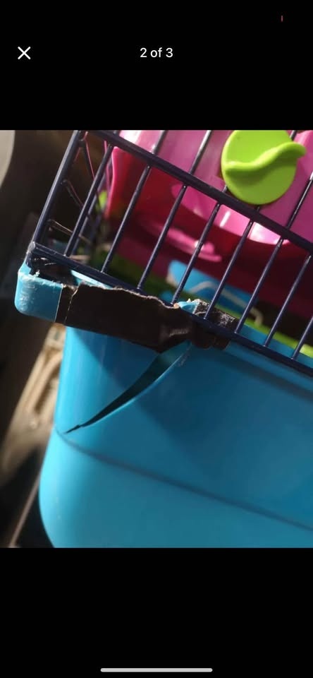 Hamster cage - photo 4