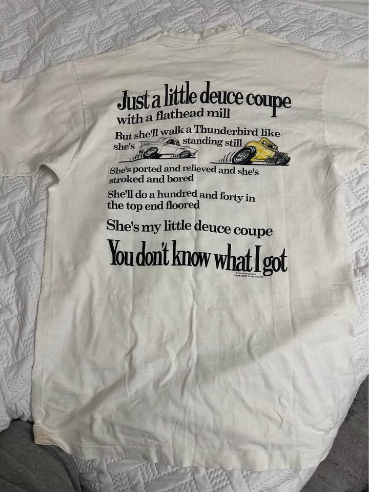 90s Beach boys little Deupe Fruit of the Lemon Single Stitch Mad - photo 2