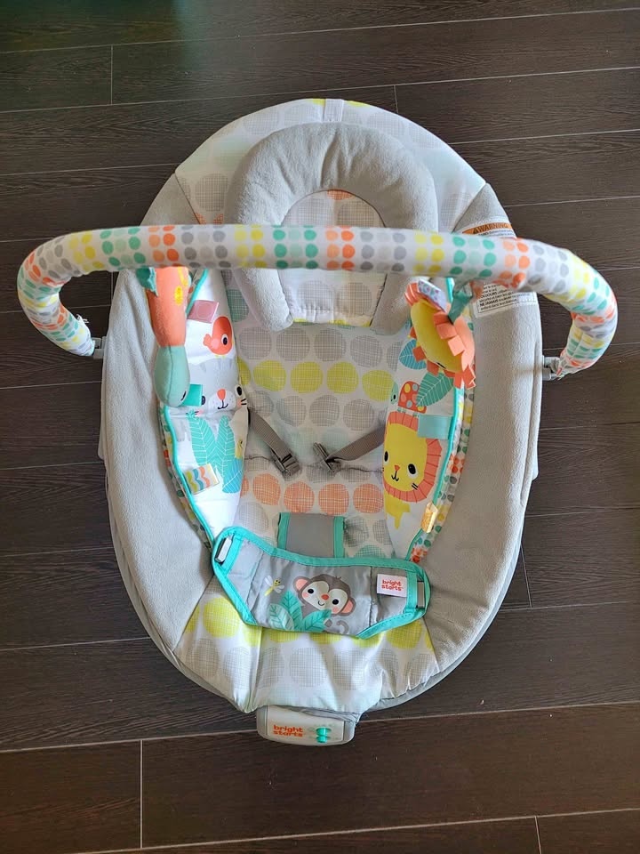 Bouncer seat for new borns