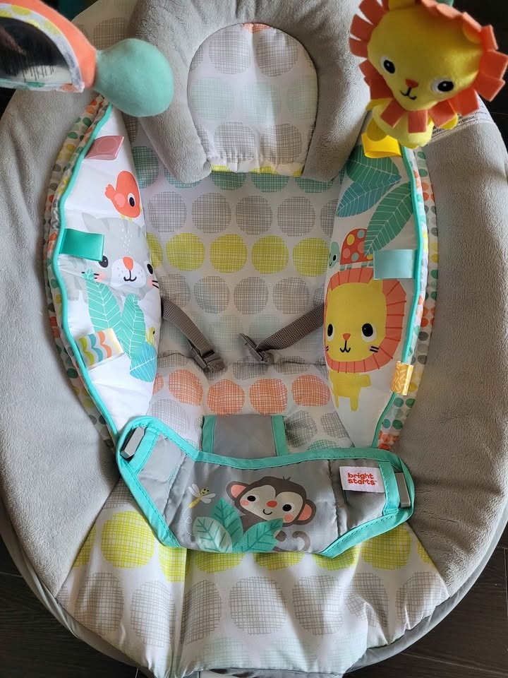 Bouncer seat for new borns - photo 3