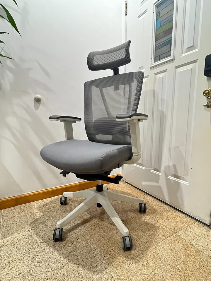 AUTONOMOUS ERGOCHAIR PRO - GRAY