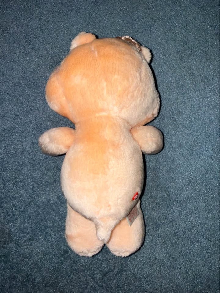 Vintage 1983 Kenner Care Bears Friend Bear - photo 2