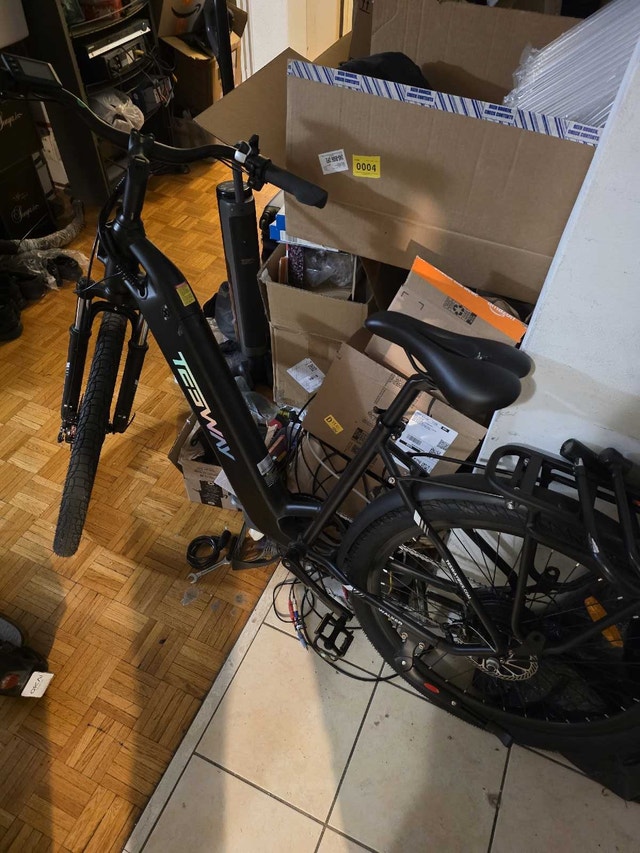 Tesway Electric Bike