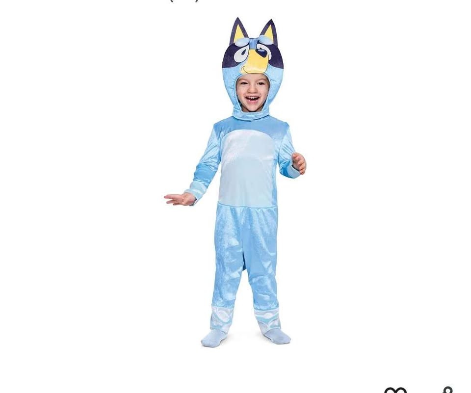 Bluey Costume for Toddler - photo 2