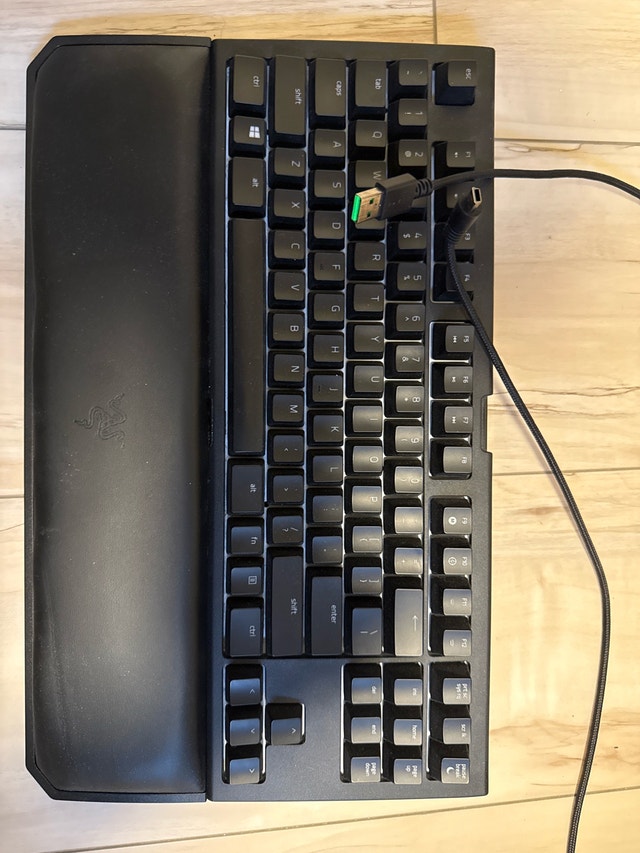 Razer BlackWidow TE Chroma v2