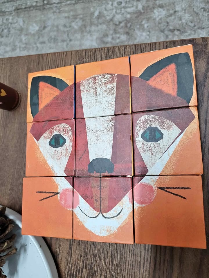 Make-a-face blocks crocodile creek toddler kids montessori