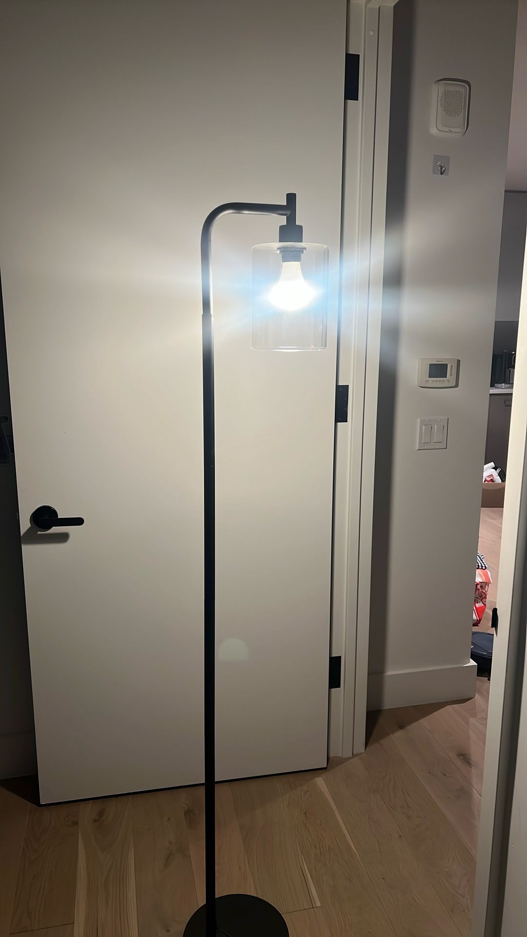 Floor Lamp
