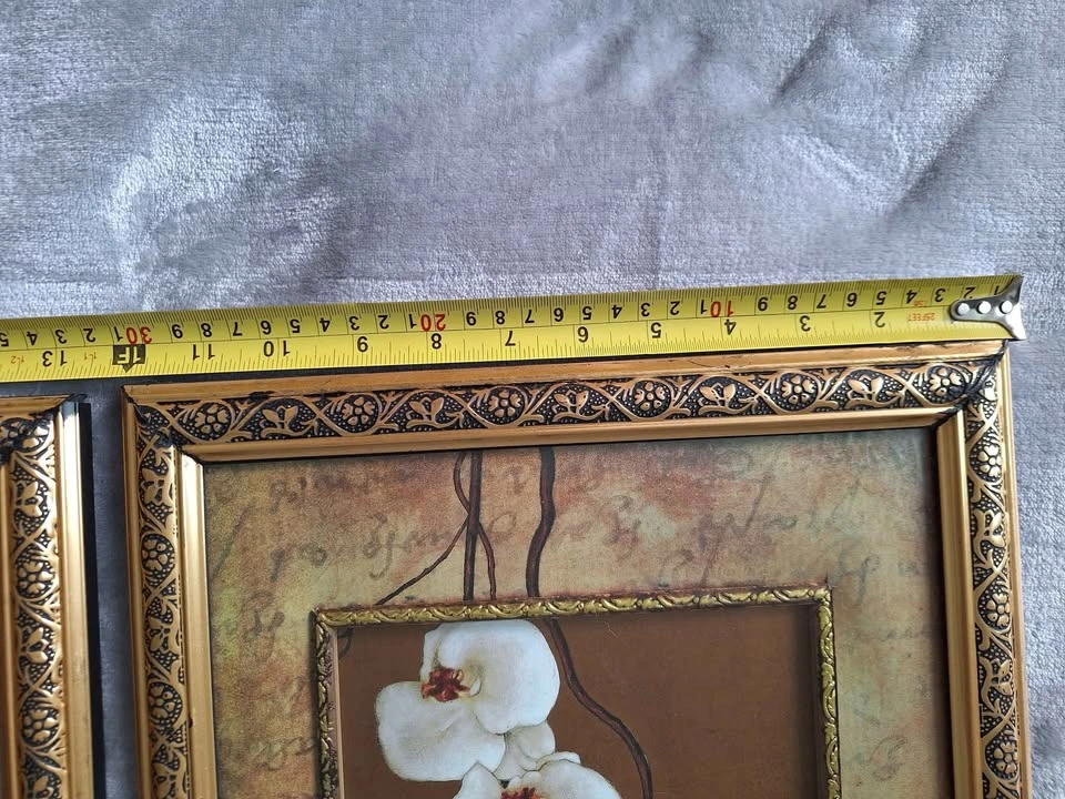 2 pictures - photo 4