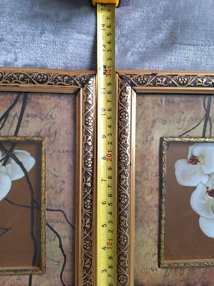 2 pictures - photo 5