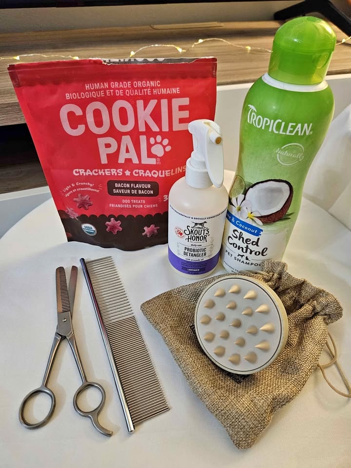 Pet Grooming Supplies - Shampoo, Comb, Scissors, etc