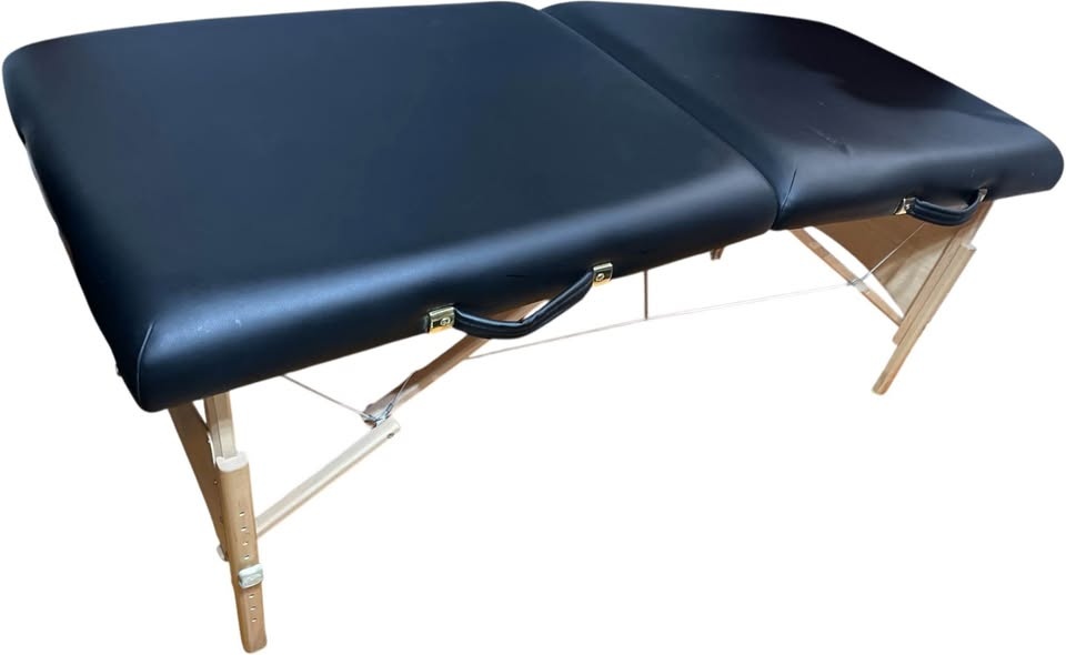 Earthlite Harmony DX Massage Bed
