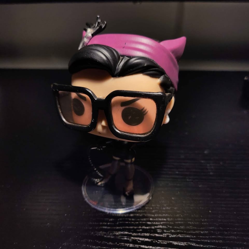 DC Bombshell Catwoman & Poison Ivy Funko Pop - photo 3