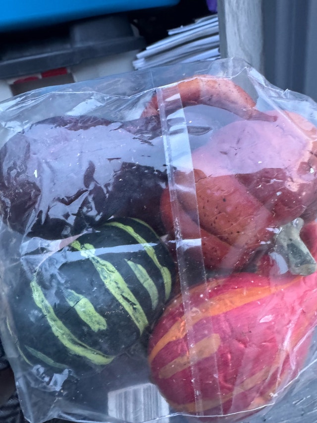 Fake Gourds 2 bundles