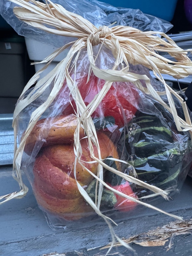 Fake Gourds 2 bundles - photo 3