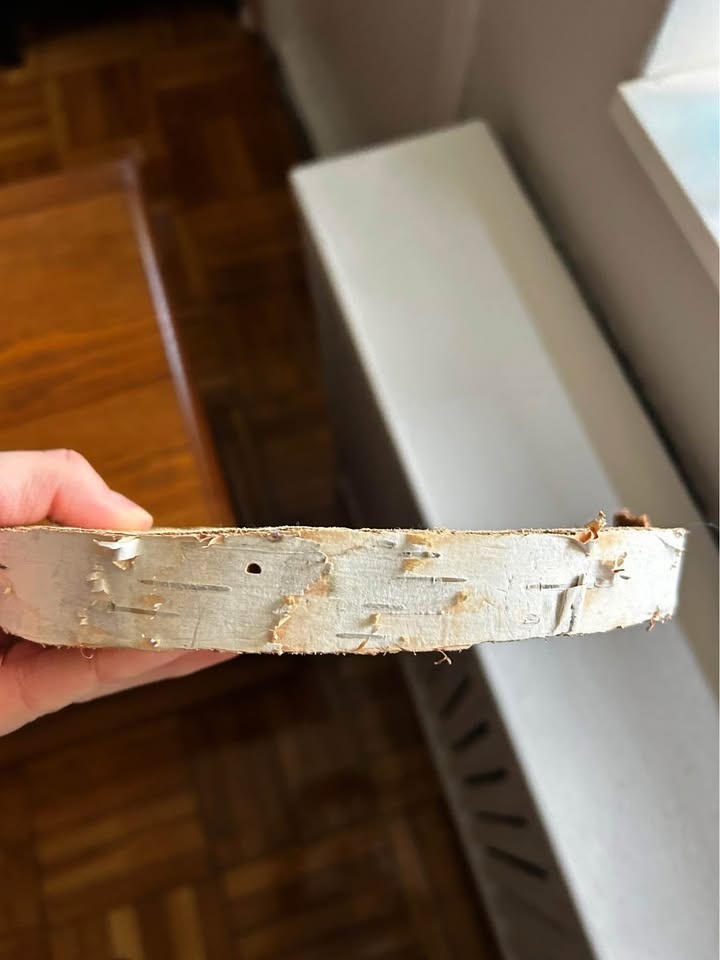 1” Birch Rounds - photo 2