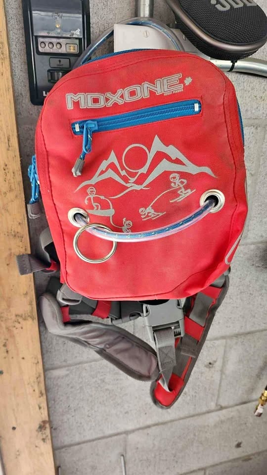 Dog bag and harness
