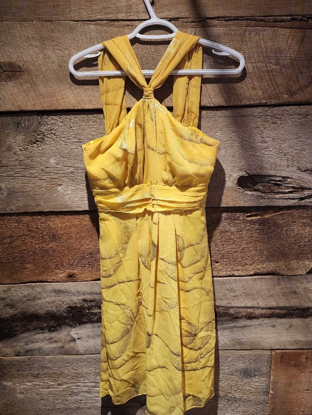 Le Château xs dress used once