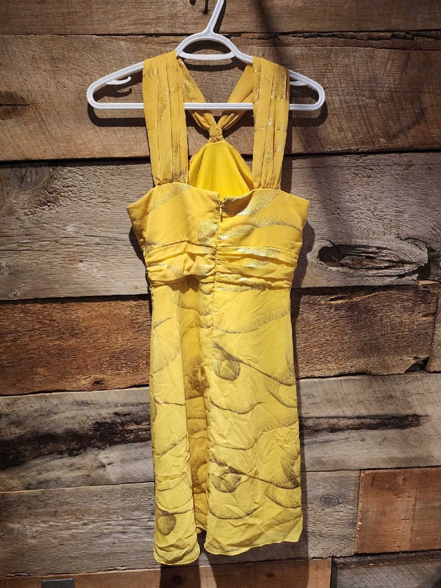 Le Château xs dress used once - photo 2