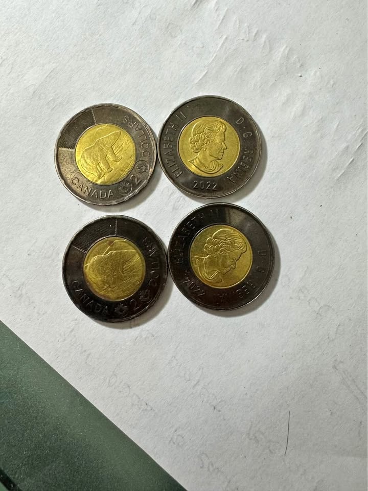 Canadian $2 Toonie Coins