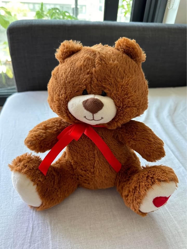 Teddy bear - Animal Adventure Medium - Like New
