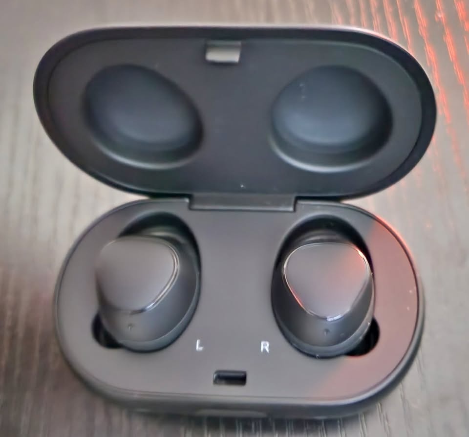 Samsung Gear IconX EarBuds