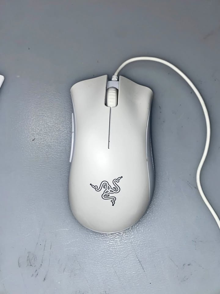 Razer Deathadder Mouse