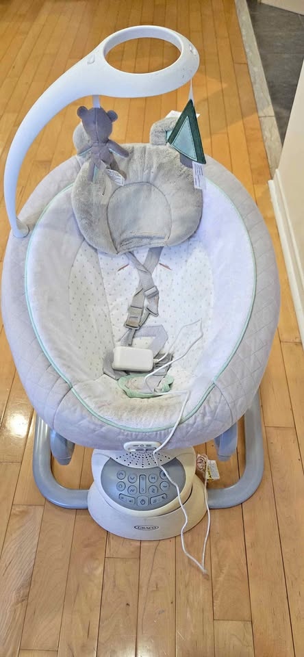 Graco Baby Swinger Electric