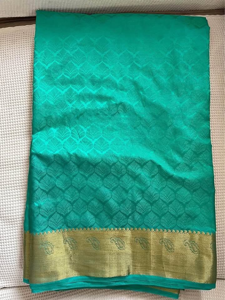Green sari with blouse