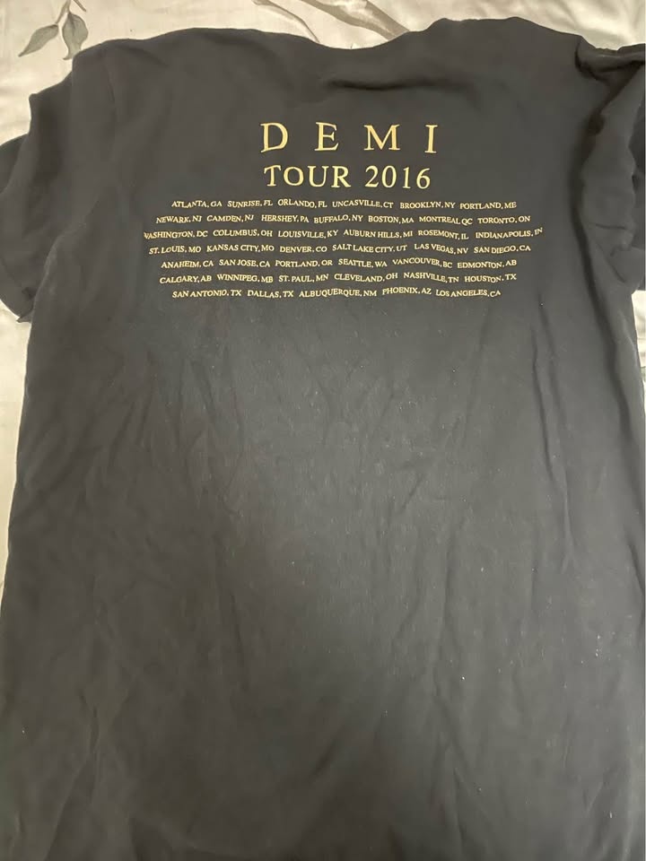 2016 Demi Lovato concert T-shirt - photo 2