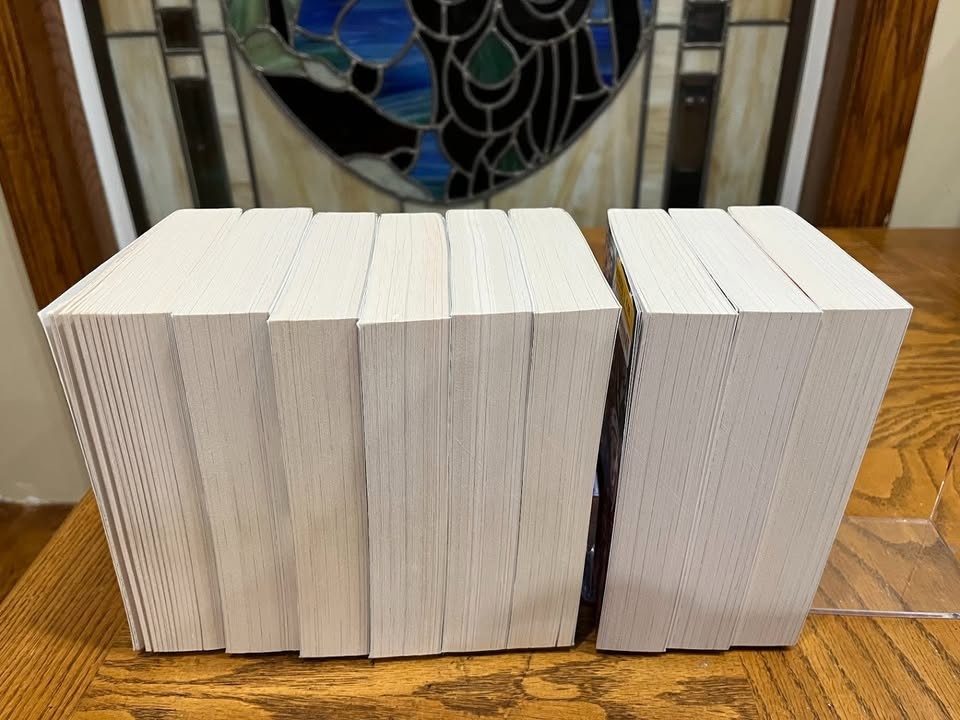 Rising of the Shield Hero Light Novel 1-9 - photo 2