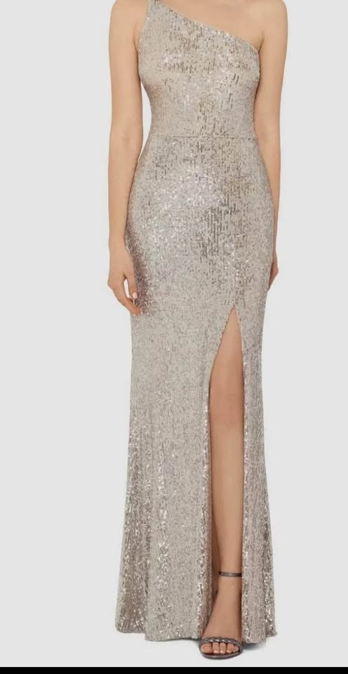 Silver Sequinned Long Dinner Dress - photo 2
