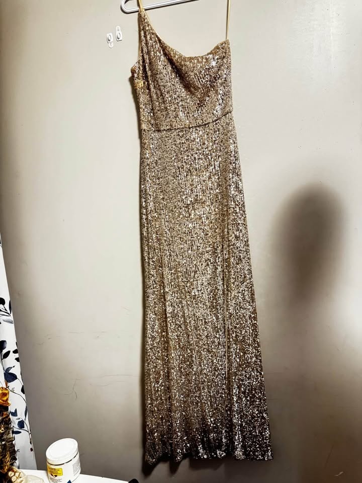 Silver Sequinned Long Dinner Dress - photo 3