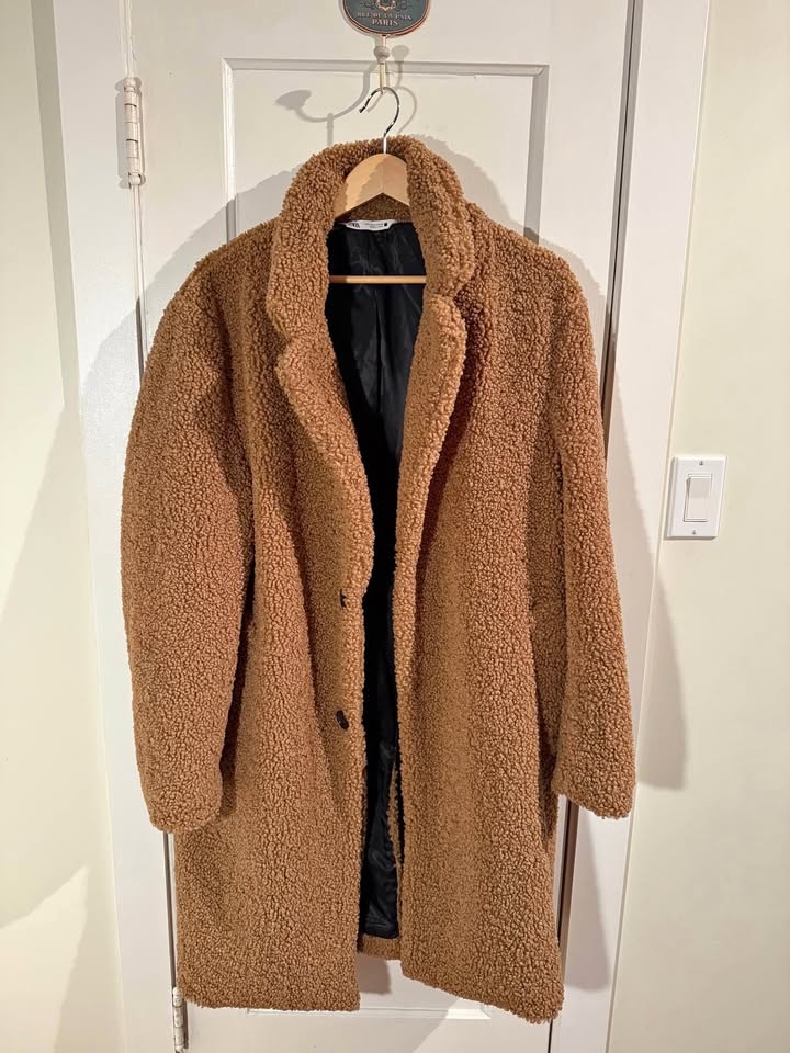 Zara Teddy Coat