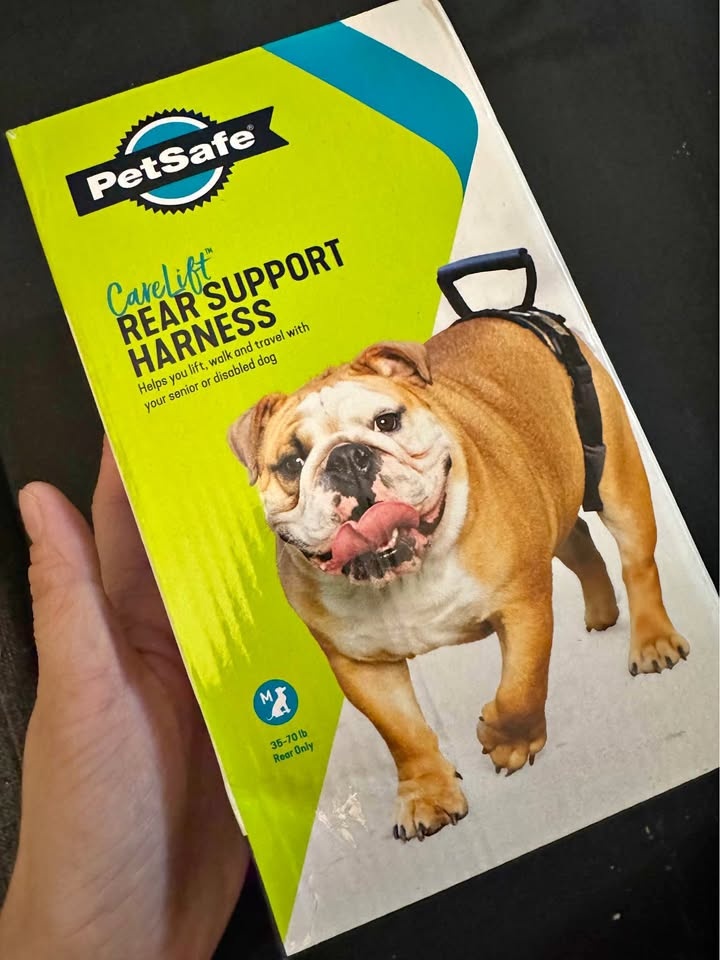 Rear Support Harness - Lifting aid with Handle
