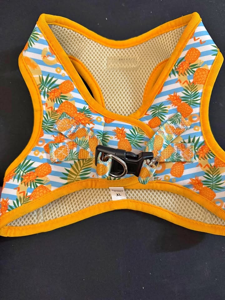 Pet Supply Step in Dog Harness No Pull, X-Large, Pineapple