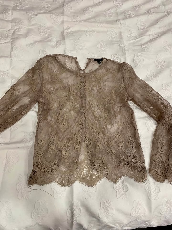 DYNAMITE Sheer Lace Top