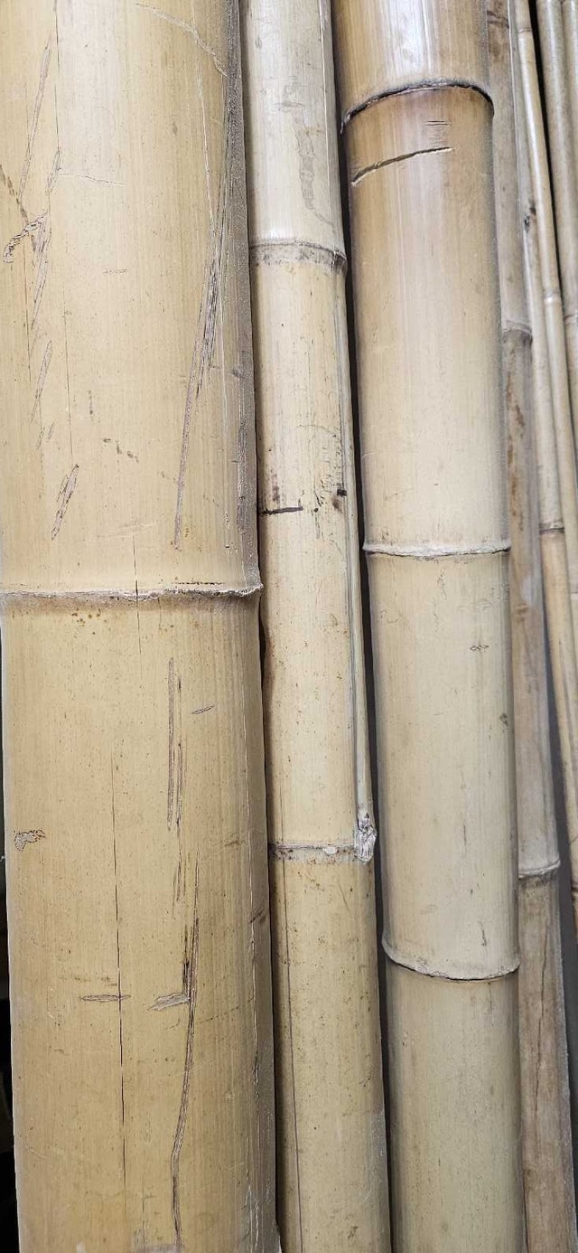 Bamboo lumber
